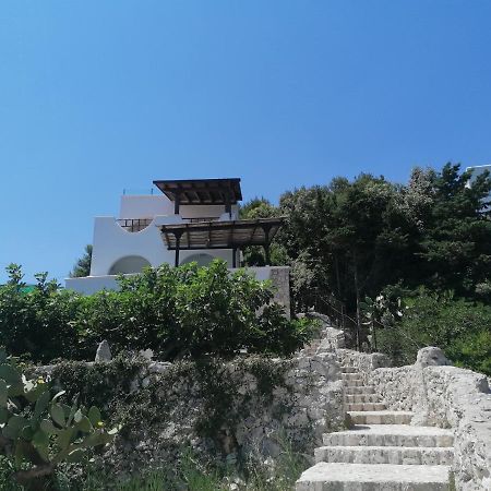 Villa Marigiosa Salento マリッティマ エクステリア 写真