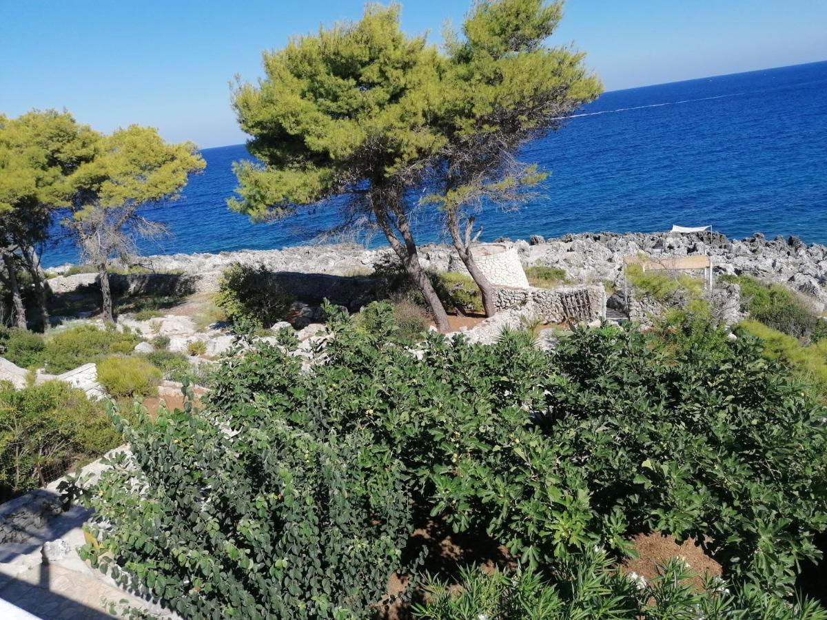Villa Marigiosa Salento マリッティマ エクステリア 写真