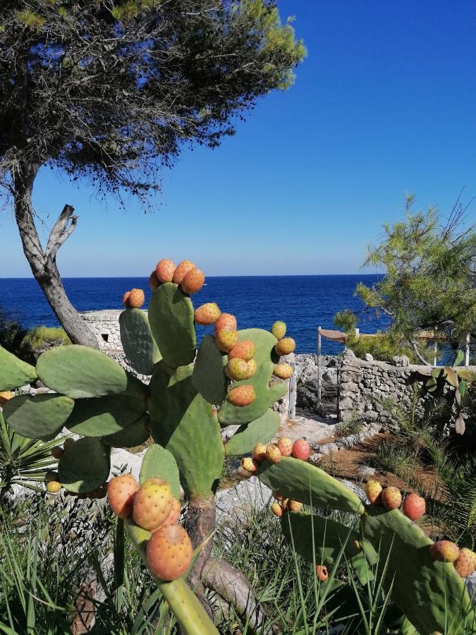 Villa Marigiosa Salento マリッティマ エクステリア 写真