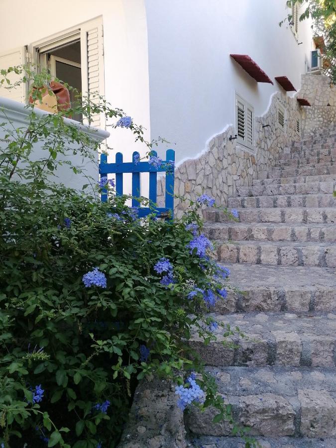 Villa Marigiosa Salento マリッティマ エクステリア 写真