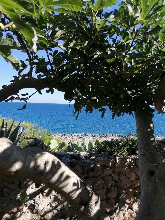 Villa Marigiosa Salento マリッティマ エクステリア 写真