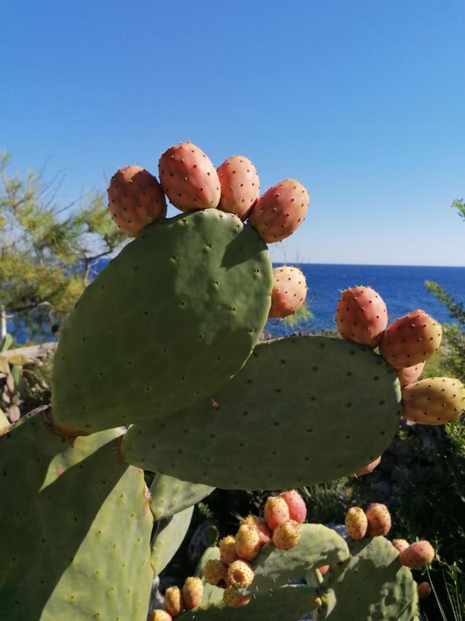 Villa Marigiosa Salento マリッティマ エクステリア 写真