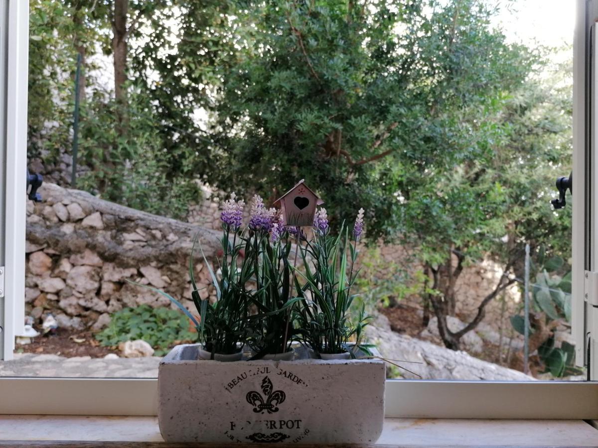 Villa Marigiosa Salento マリッティマ エクステリア 写真