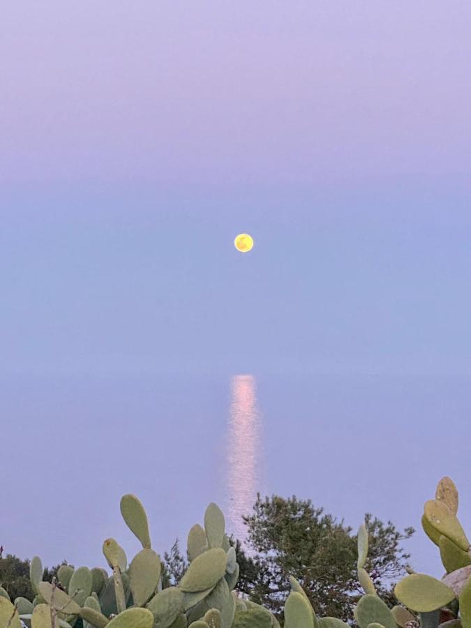 Villa Marigiosa Salento マリッティマ エクステリア 写真